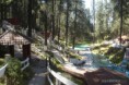 /album/mariposa-monarca/terreno-campestre-los-azufres-michoacan-6680078442951529838-jpg/